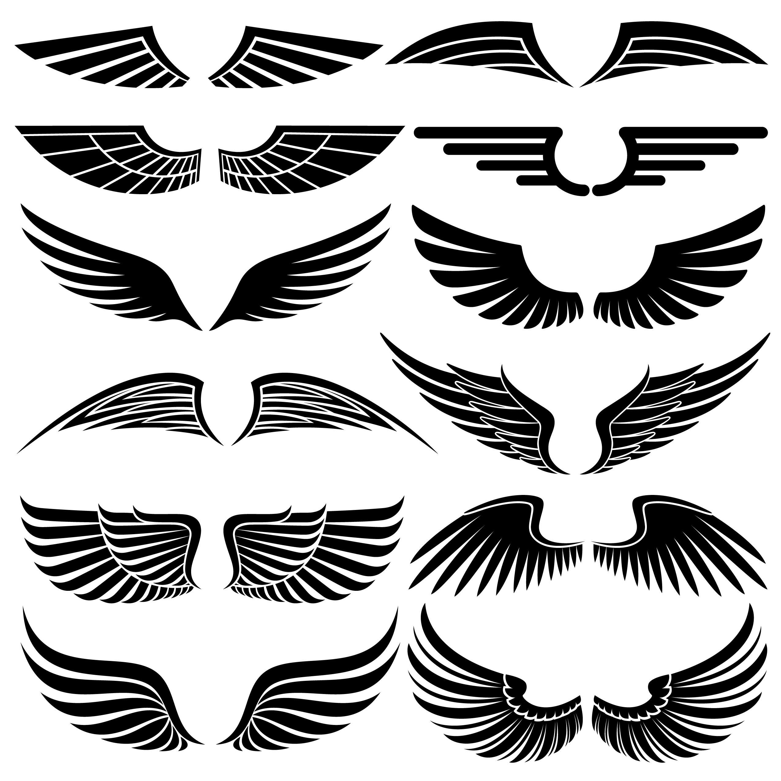 12 Wing Brushes by