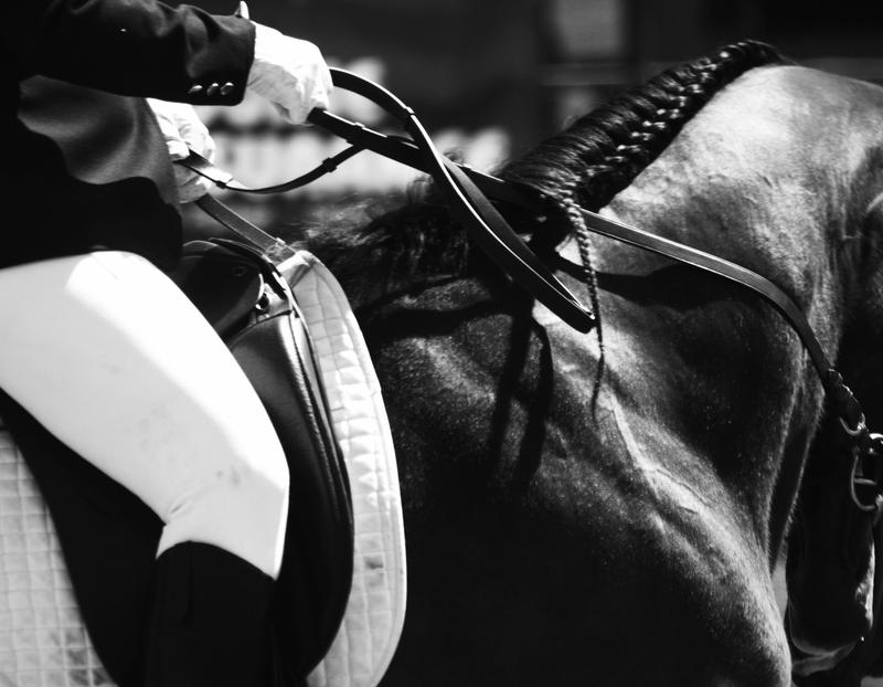Dressage - Black and White by DianaExperiment