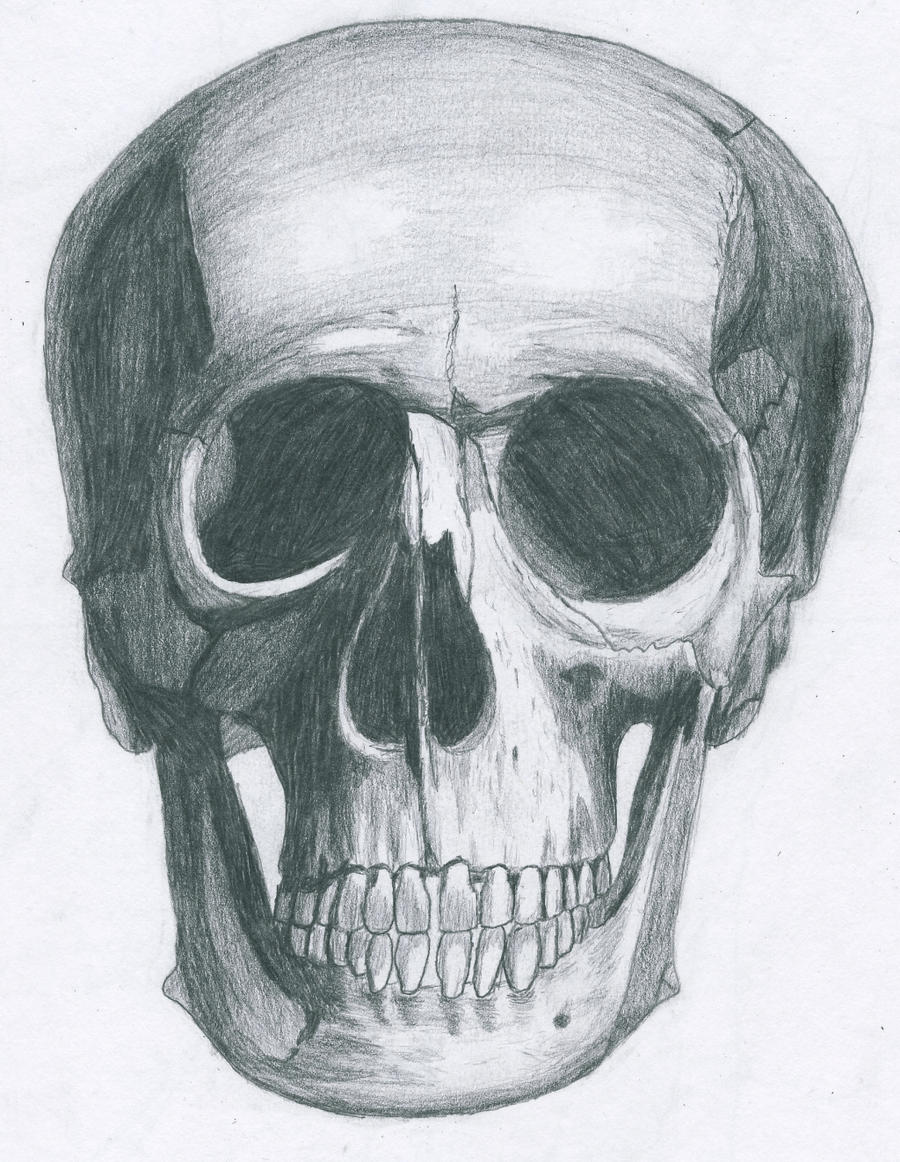 skull_drawing_by_bl1ghtmare-d4cbvqf.jpg