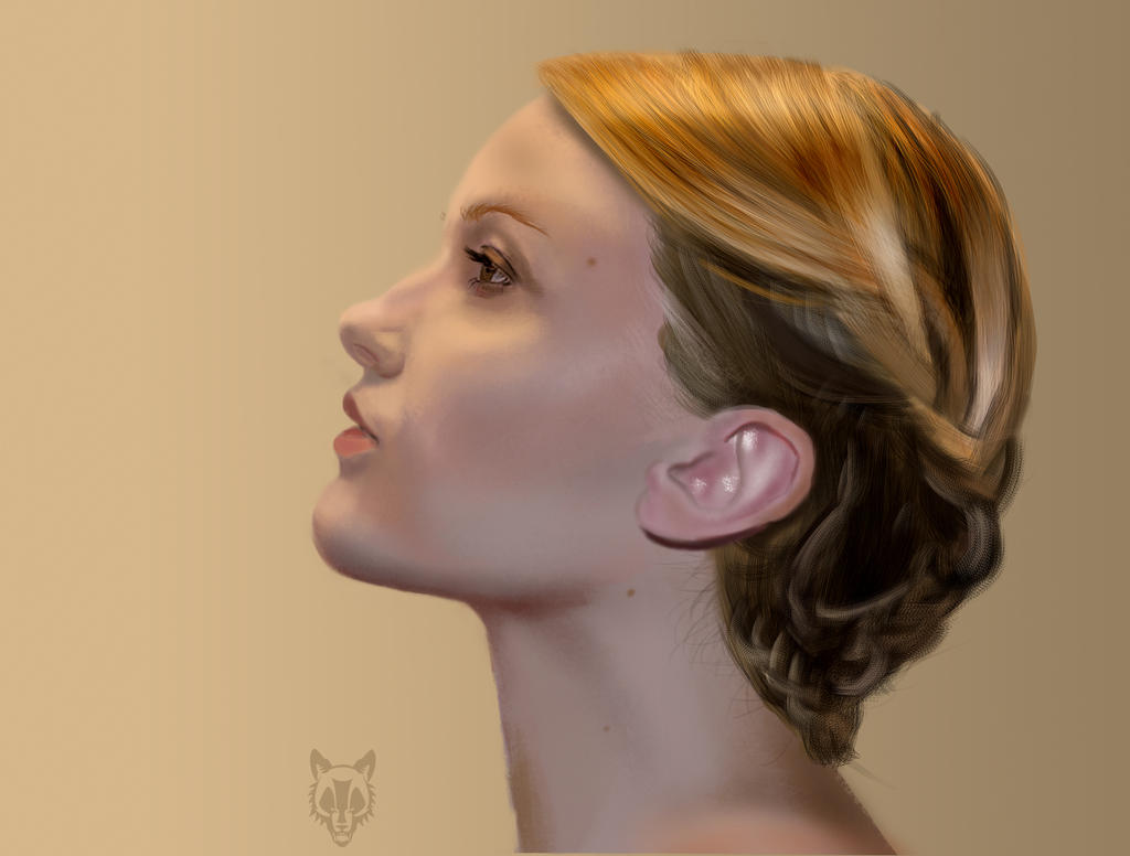[Image: hair_style_3___speed_study_by_wolkenfels-d73aigk.jpg]