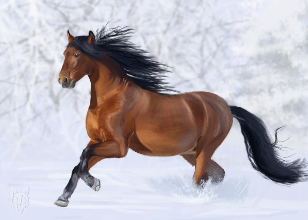 [Image: horse_study_2_by_wolkenfels-d77fl80.jpg]