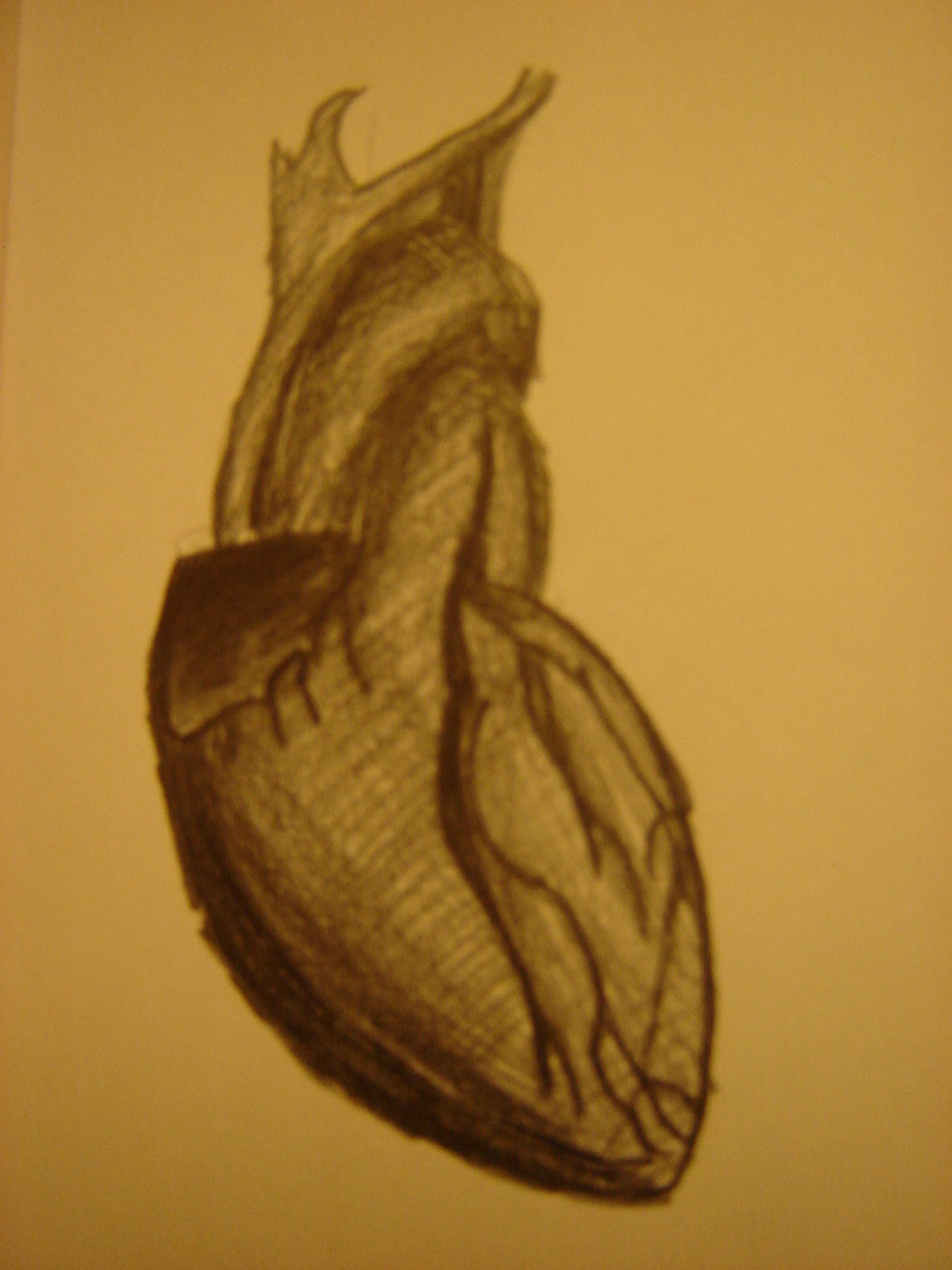 Heart Drawings 2 by Rykten