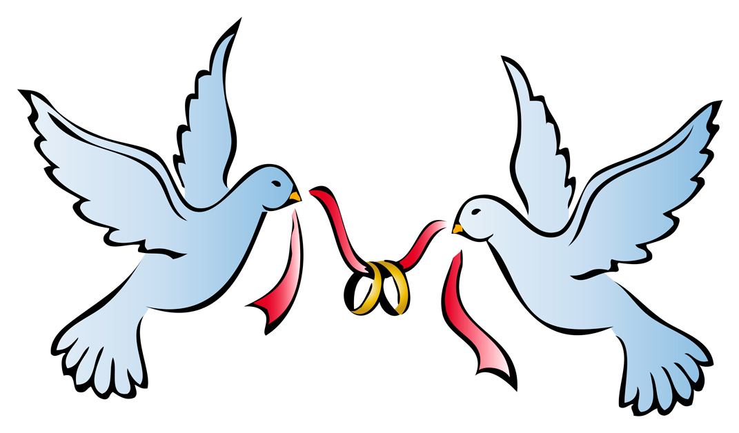 wedding dove and rings
