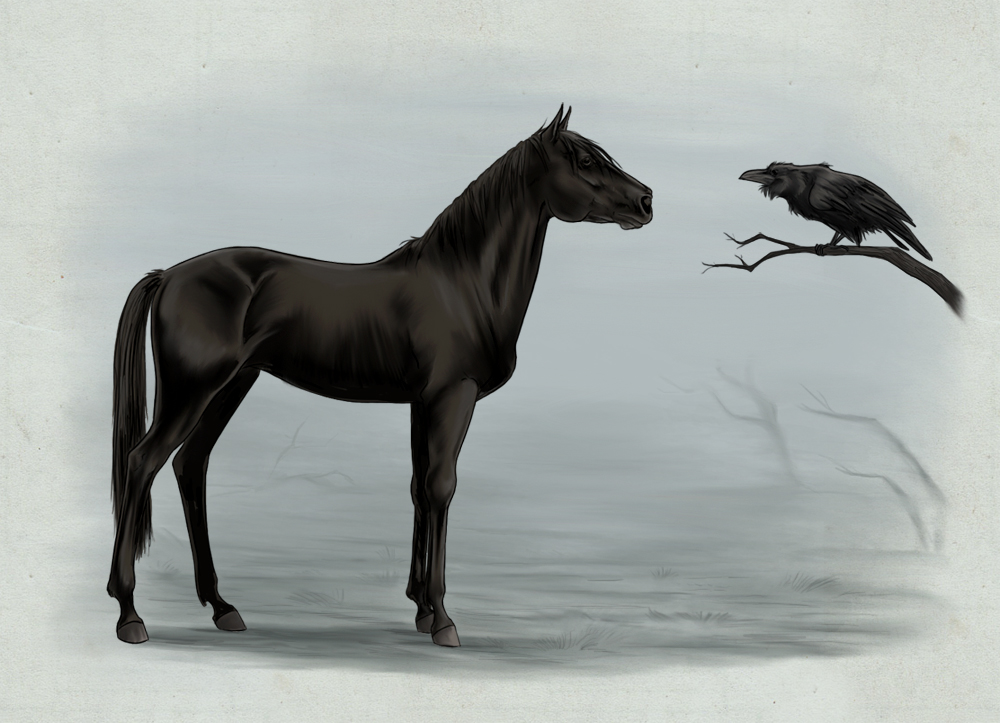 The_horse_and_the_crow_by_Yulynh.jpg