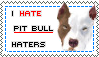 I_HATE_PIT_BULL_HATERS_by_EminaAnissah.p