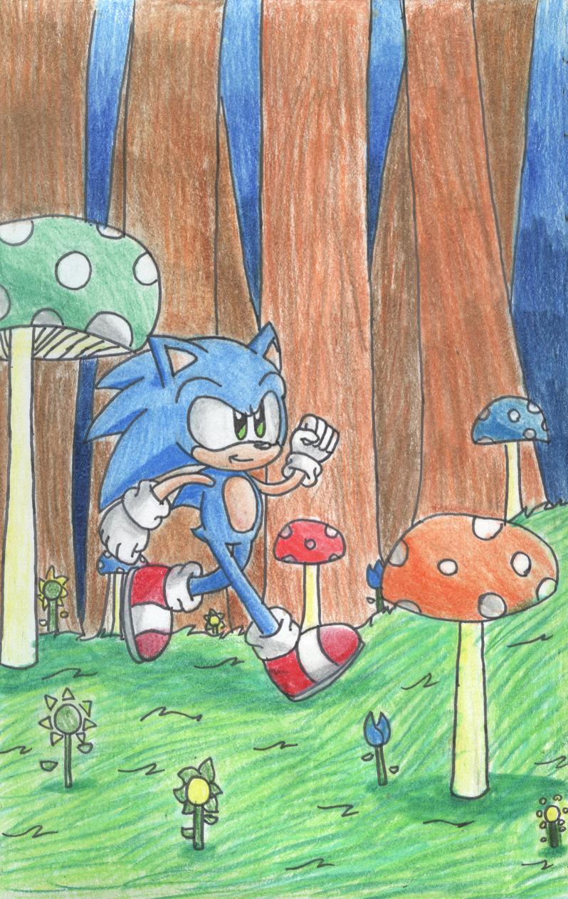 sonic_m_hill_by_flame_eliwood-d2zv2a0.jpg