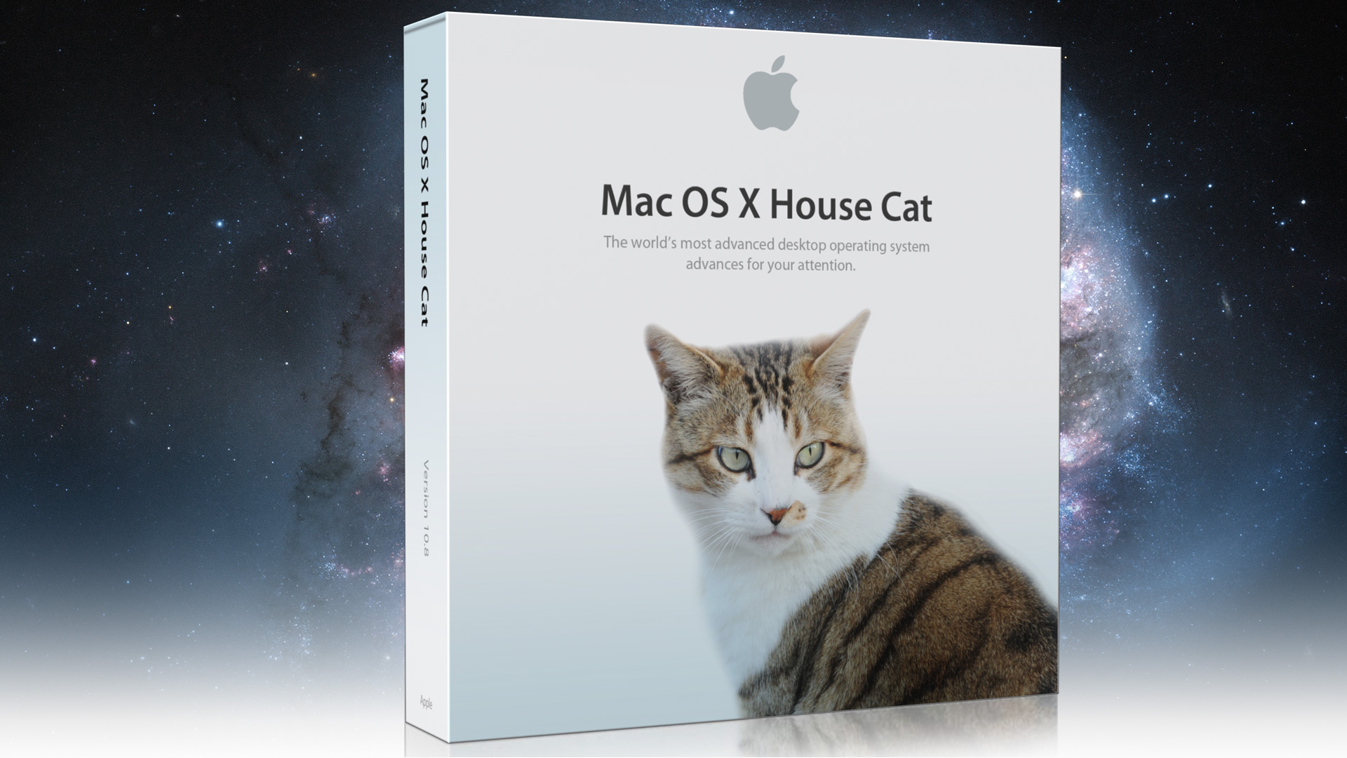 os_x_house_cat_by_drummerguy_souris-d41w9vs.jpg