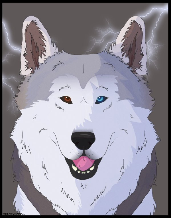 storm_2_commission_by_staceybob-d479dcv.png