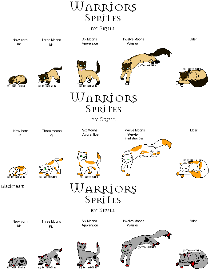 The Warrior Cats Wiki Sprites
