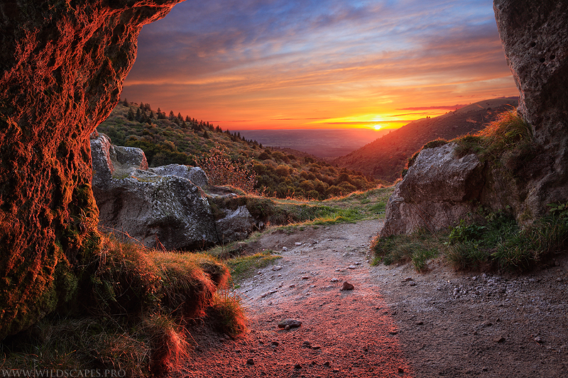from_the_cave_by_maximecourty-d5hh82r.jpg