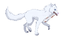 wolf_walkcycle_by_bwwd-d6mc61h.gif