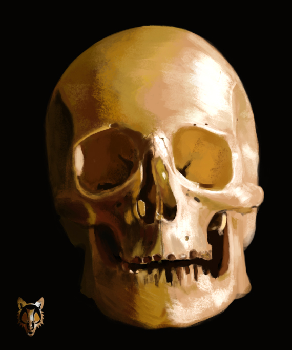 [Image: skull_3_by_wolkenfels-d7eq3su.jpg]