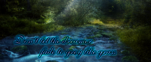 don_t_let_the_dreamer_fade_to_grey_like_grass_by_operamorgana-d8gcujp