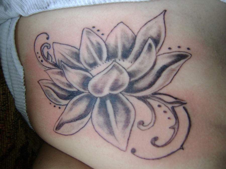 lotus flower by daelinreid on deviantART