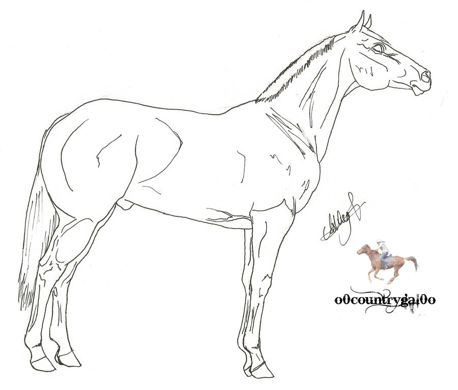 quarter horse coloring pages - photo #13