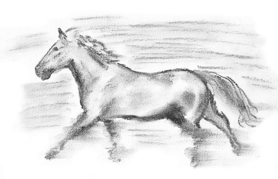 Running horse sketch by Barthas on DeviantArt