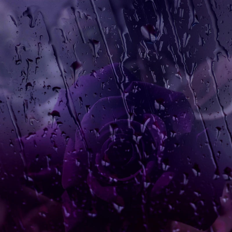 [Obrazek: purple_rain_by_shinywish-d316qhw.jpg]