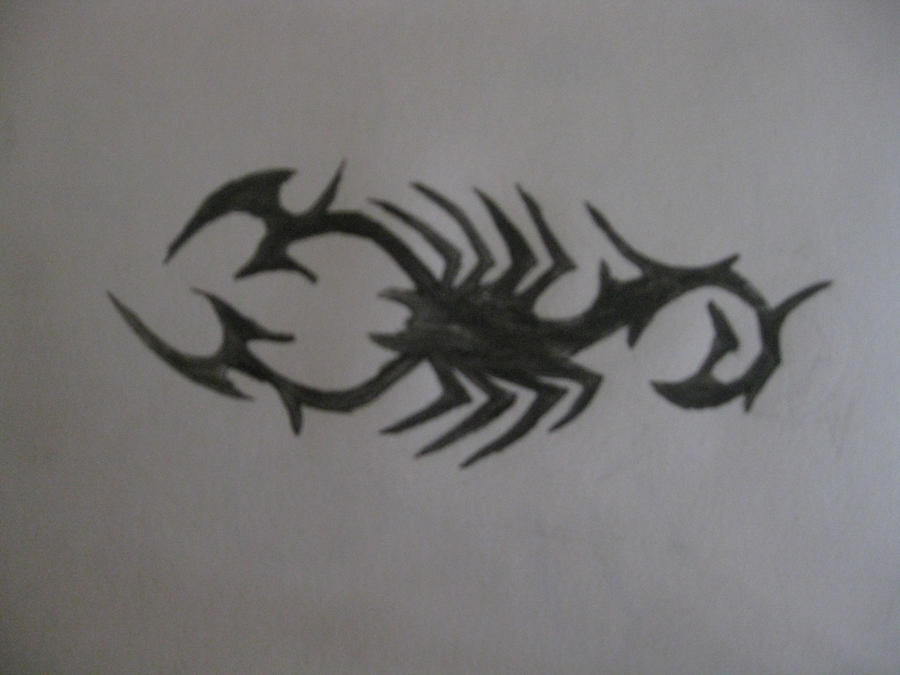 Black Scorpion sketch by AircraftPhotography on deviantART scorpion drawings