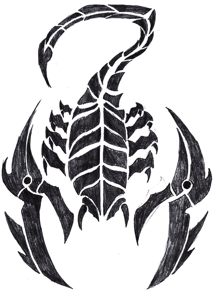 Scorpion Tattoo by