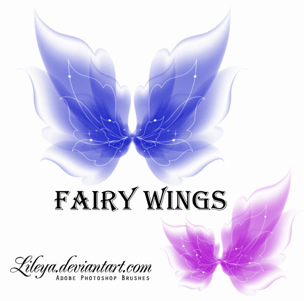 http://fc08.deviantart.net/fs71/i/2010/313/e/9/fairy_wings_by_lileya-d32i3wa.jpg