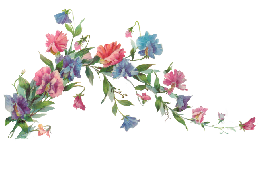 Floral branch element by jinifur on DeviantArt