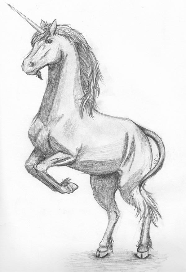 Unicorn Sketch by Dragon-Sphere on DeviantArt