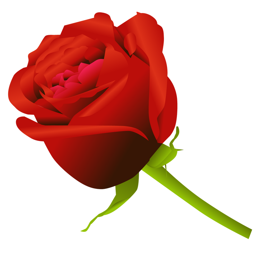 clipart noeud rose - photo #34