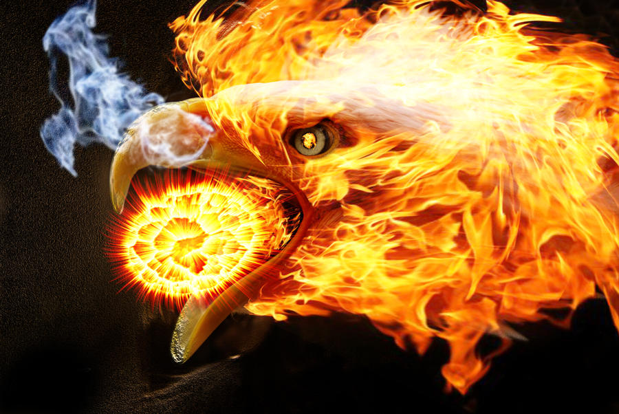 Fire Eagle Design Eagle on Fire