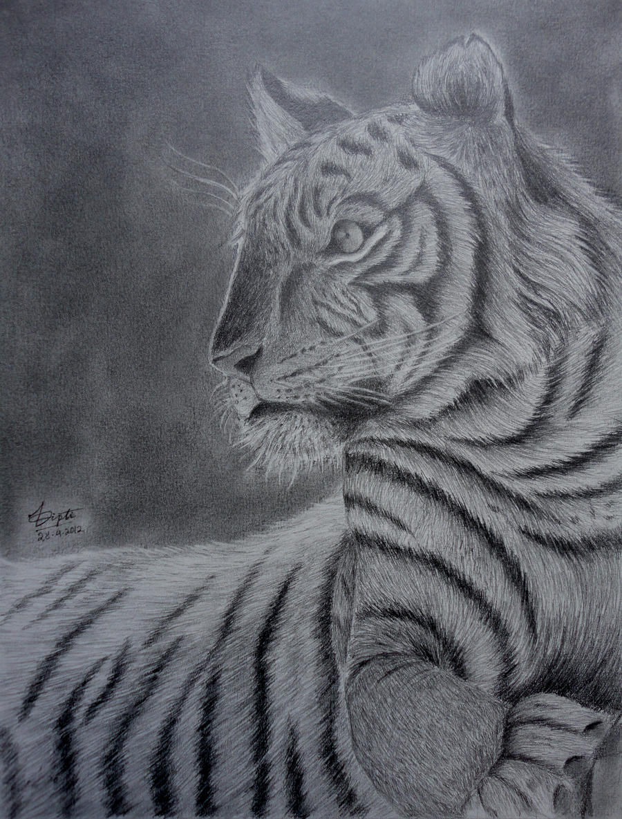 Bengal Tiger by DiptiArt on DeviantArt