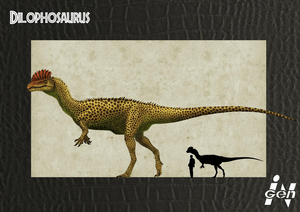 http://fc08.deviantart.net/fs71/i/2012/262/8/0/jp_dilophosaurus_remake_by_jelsin-d5eosr2.jpg
