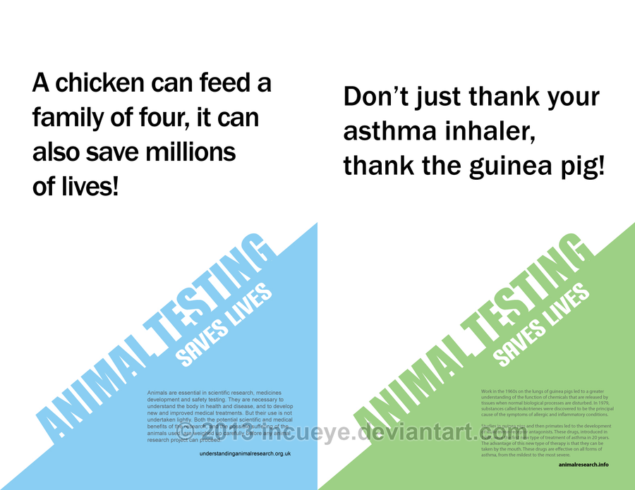 animal testing cons essay