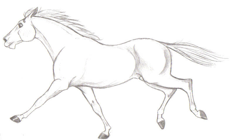 galloping horse coloring pages - photo #42