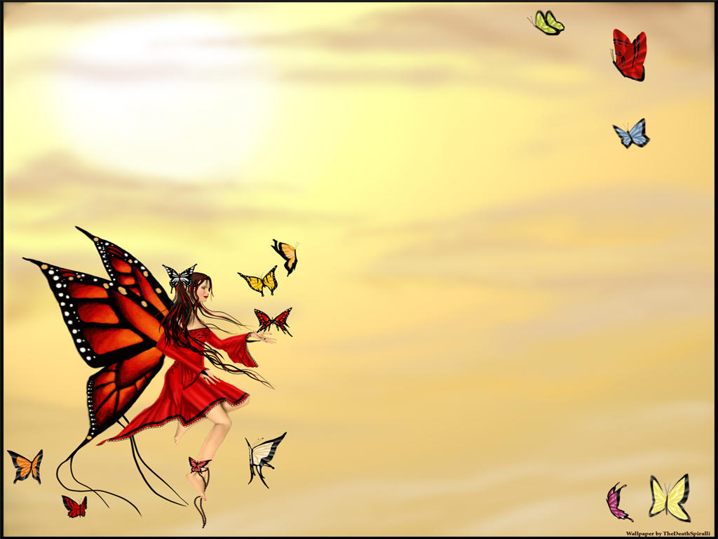 Best Butterfly Background for Desktop