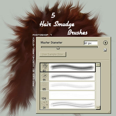 http://fc08.deviantart.net/fs10/i/2006/125/1/b/Hair_Smudge_Brushes_by_kuschelirmel_stock.jpg