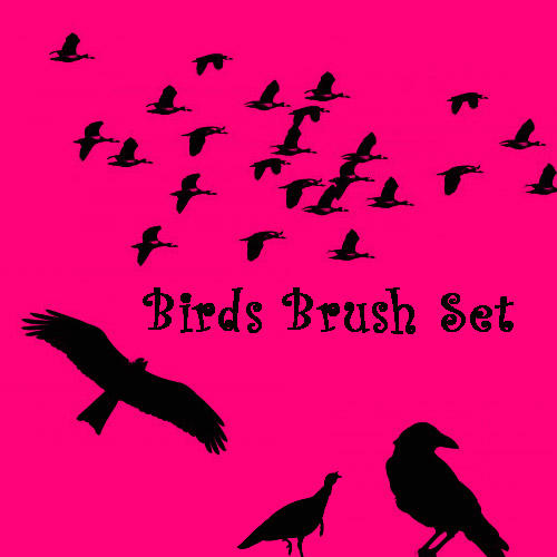http://fc08.deviantart.net/fs23/i/2008/009/0/5/Birds_Brush_Set_by_eMelody.jpg