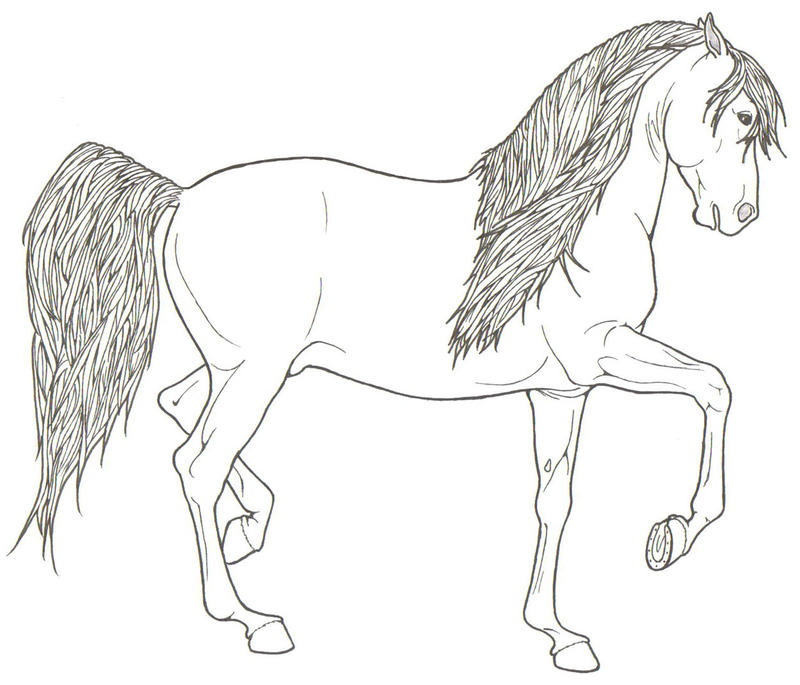 Featured image of post Realistic Rearing Horse Coloring Pages - Pypus is now on the social networks, follow him and get latest free coloring pages and much more.