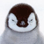 this penguin can see you