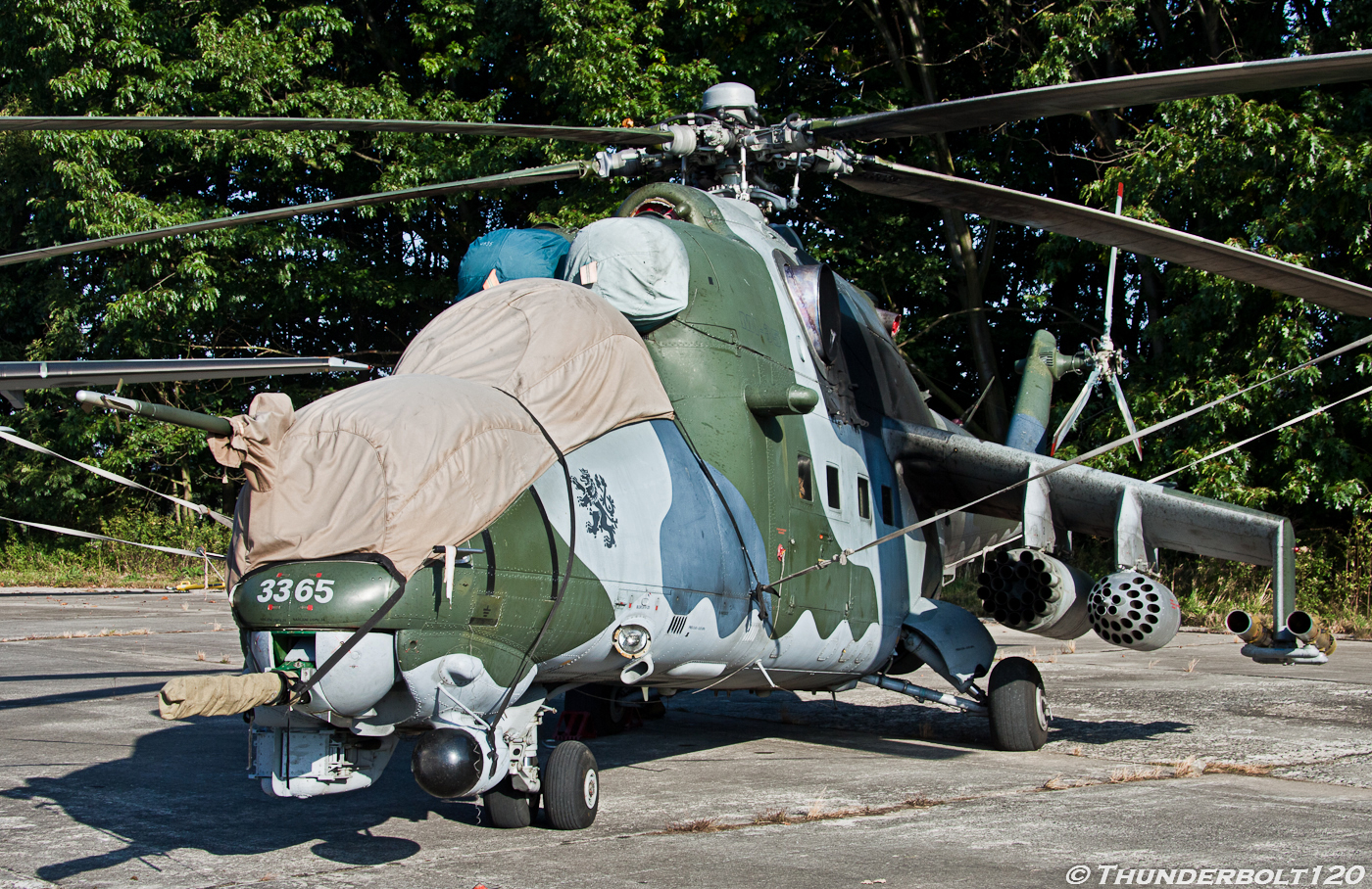 Mi-24V Hind 3365