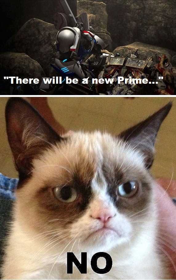 the_grumpy_cat_and_transformers_by_theed