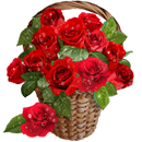 Judina's roses by kmygraphic