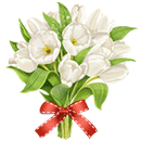 White Tulips by KmyGraphic