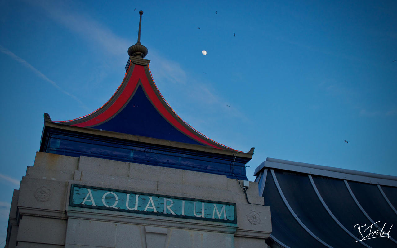 Brighton_Aquarium_by_richardsim7.jpg
