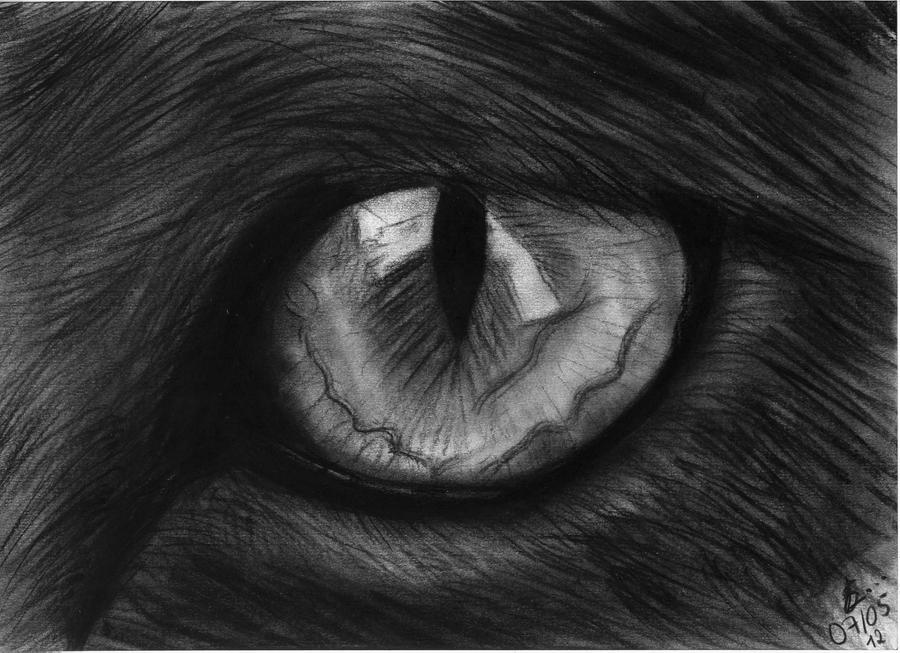 Bat's eye by iSaidOnce on deviantART