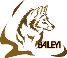 Baileyi Logo by XxFenrierxX