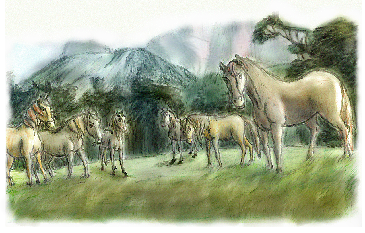 [Obrázek: mustang_spirit_scene_with_horses_by_elfm...6apmxx.png]