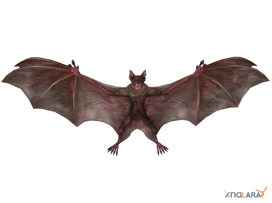 REUC - Zombie Bat by deexie on deviantART