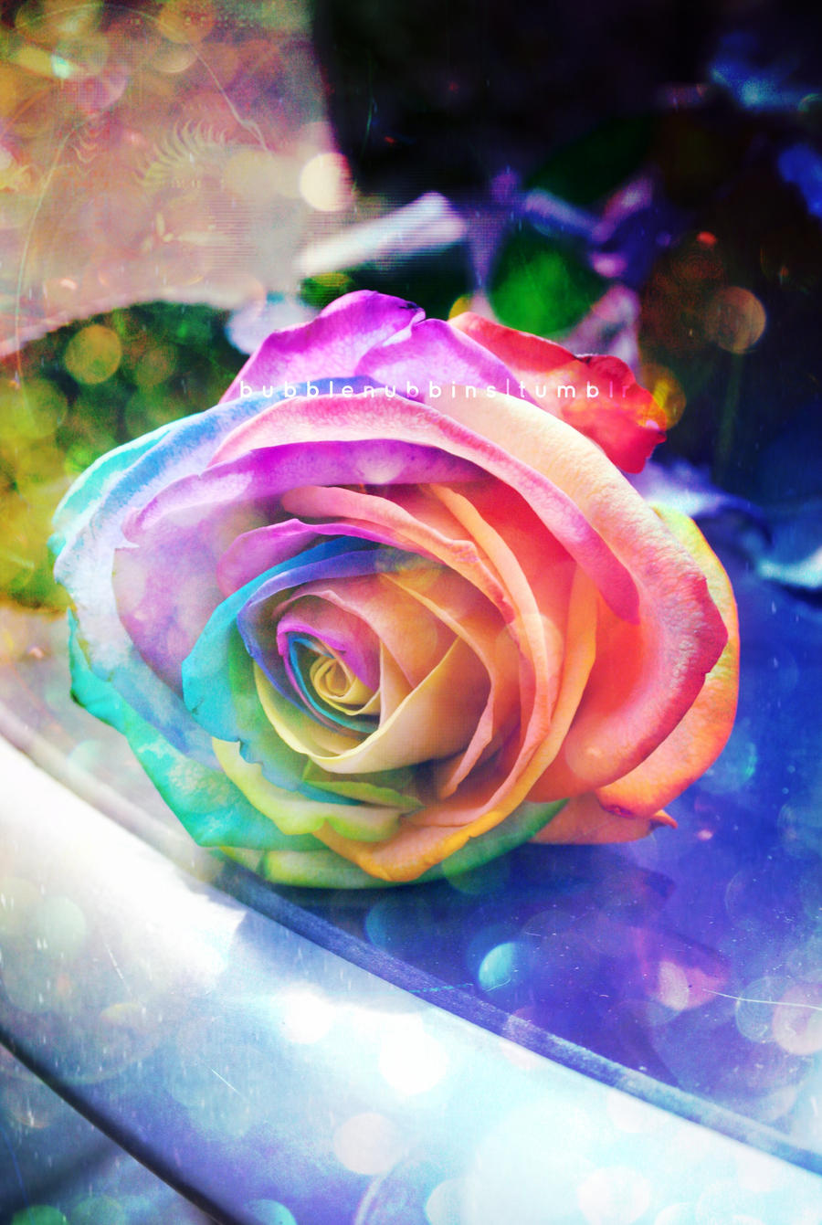 Rainbow Rose by bubblenubbins on DeviantArt