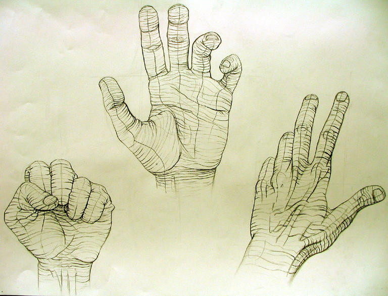 Cross Contour Hand Study 1 by nosurprises